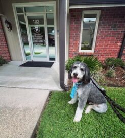 Ellender Orthodontics